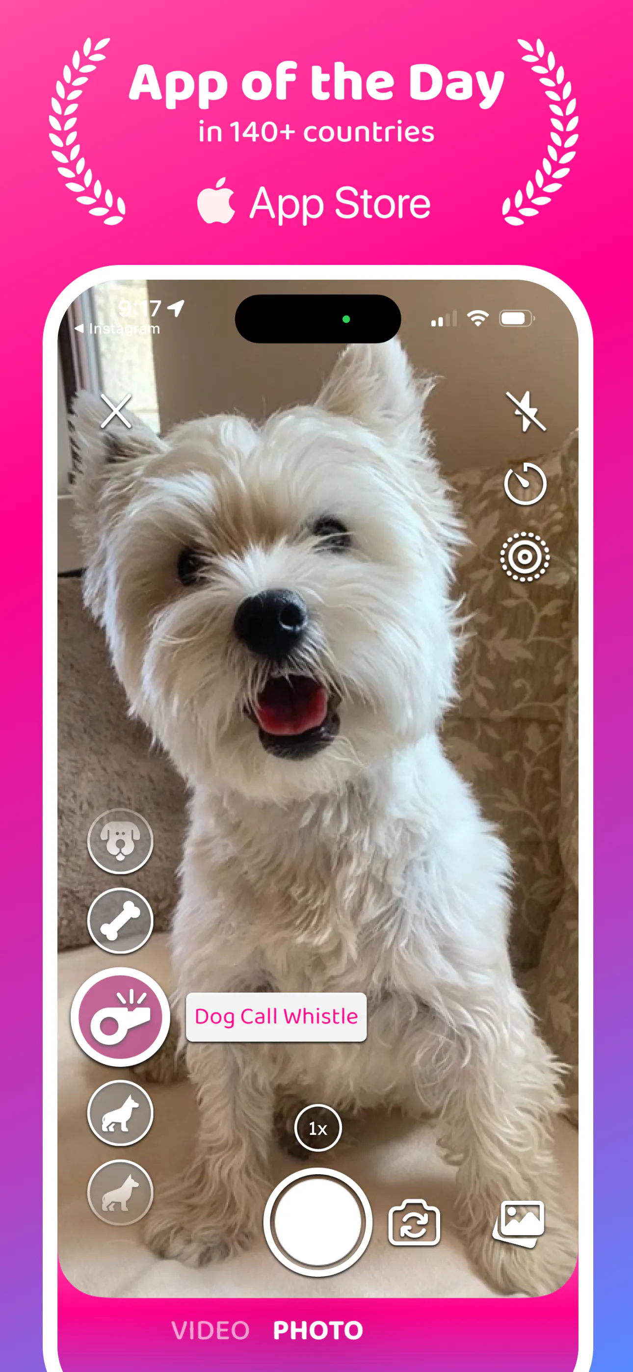 DogCam - Dog Selfie Camera gallery image
