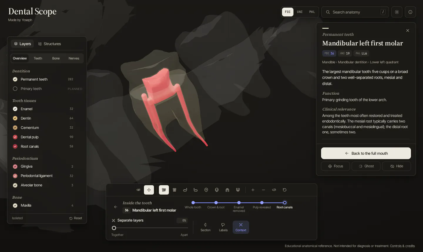 Dental Scope gallery image