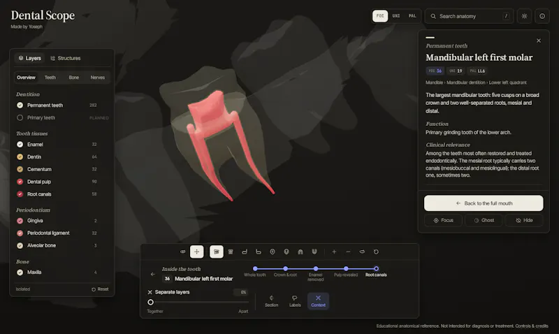 Dental Scope screenshot 3