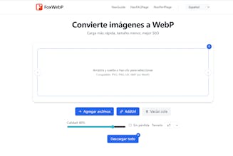 Fox WebP gallery image
