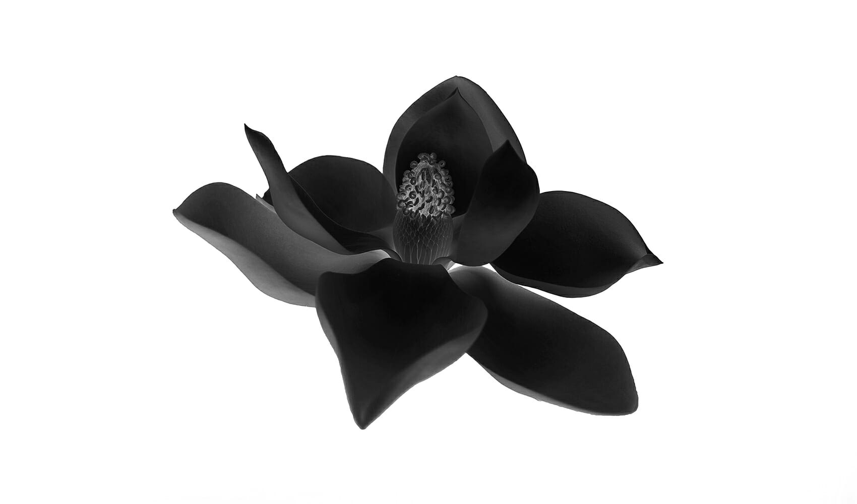 TOF® biosphere gallery image