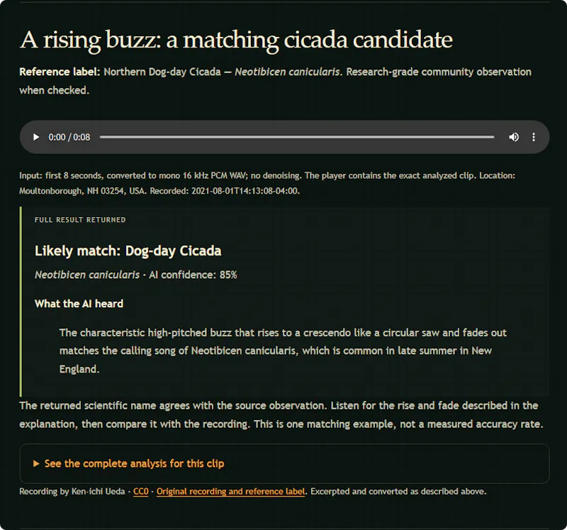 Insect Sound ID screenshot 3