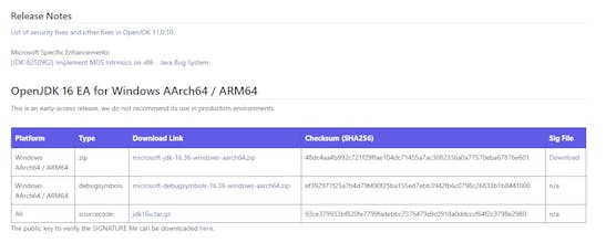 Microsoft Build of OpenJDK™ gallery image