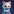 Chat Cat