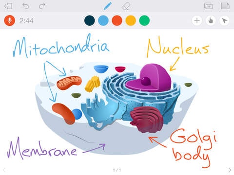Educreations gallery image
