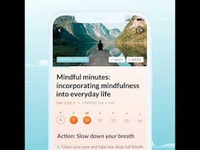 Holly Health 2.0 gallery image