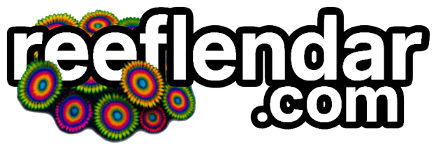 Reeflendar.com gallery image