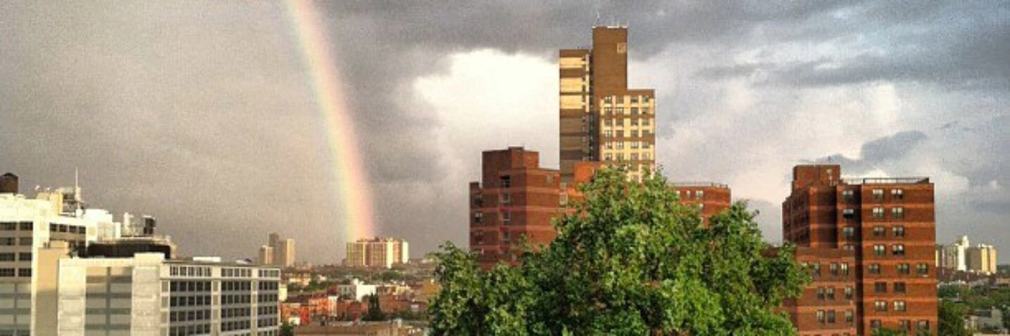 Alex Dalenberg cover