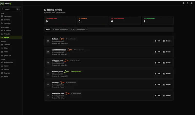 DomainIQ screenshot 2