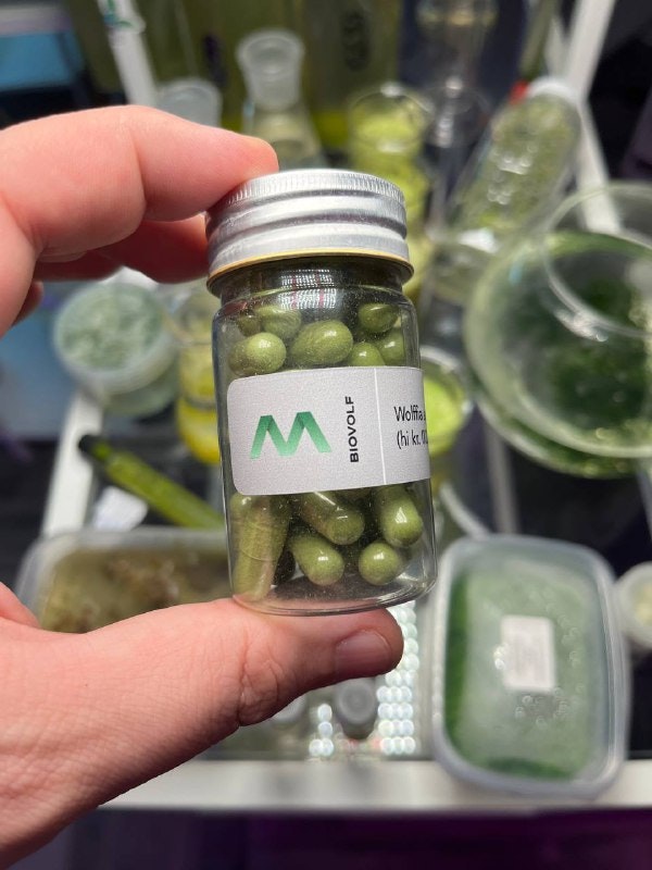 Biovolf - We create agriculture's future technologies media 3