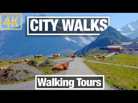 City Walks Virtual Tours gallery image