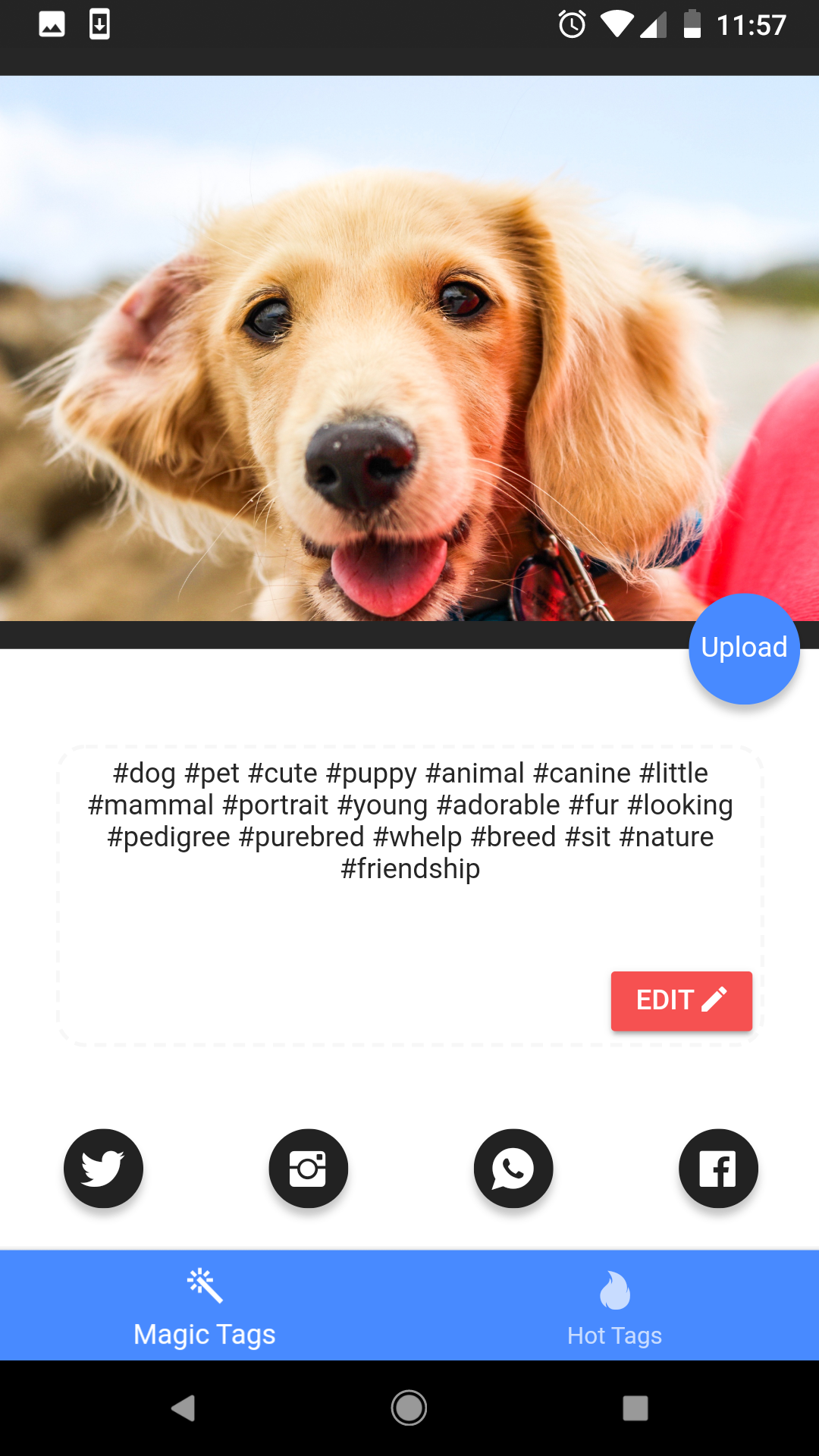 Tag Hero gallery image