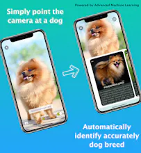 Dog Identifier - Dog Scanner gallery image
