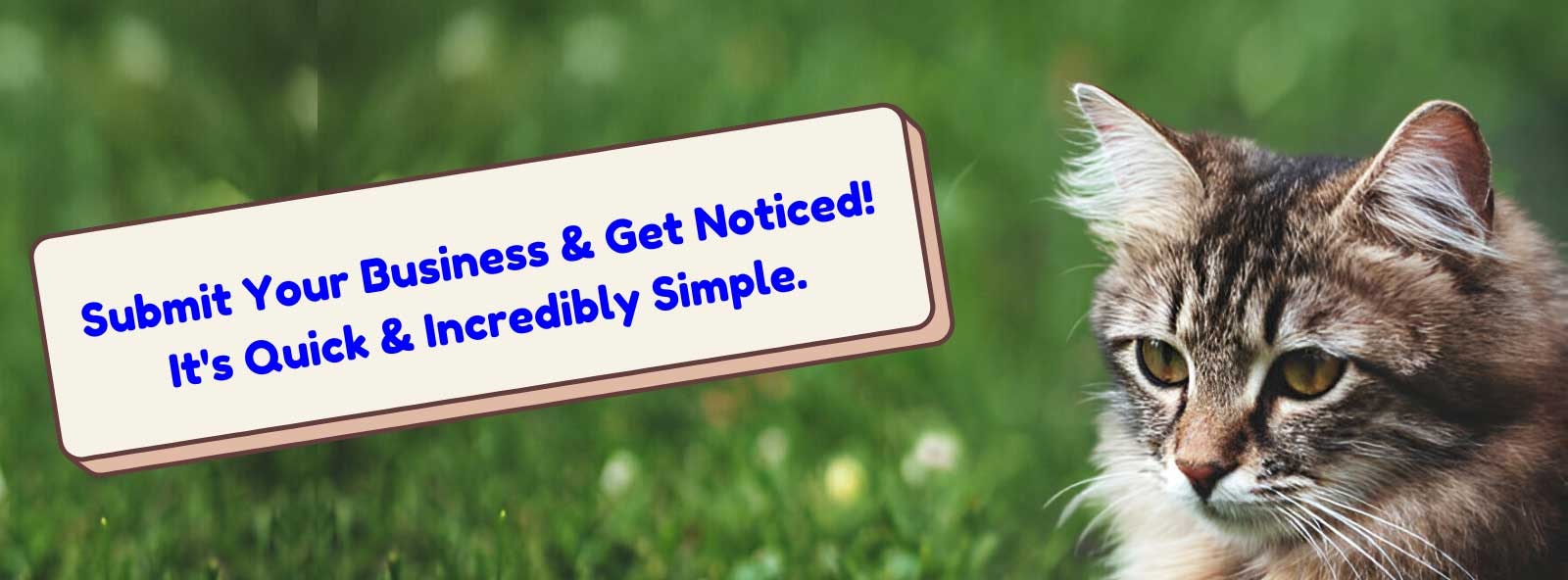 Pet Industry Visual Advertisement Portal media 4