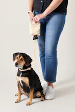 MetroPup Carry-All Bag for Dogs gallery image