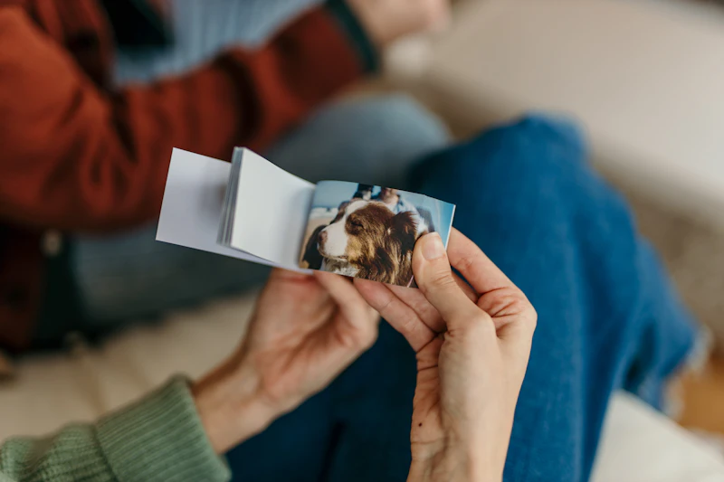 VideoToFlip.com - Turn video to flipbook screenshot 5