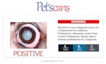 Pet'scans - Dog Cataract Detection image