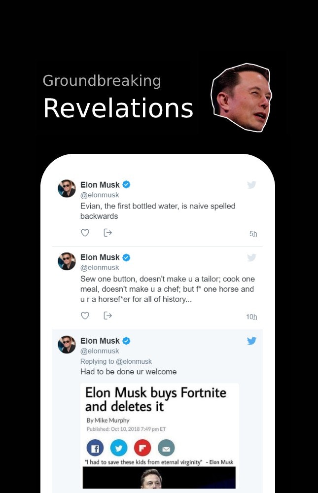 Elon's Shenanigans gallery image