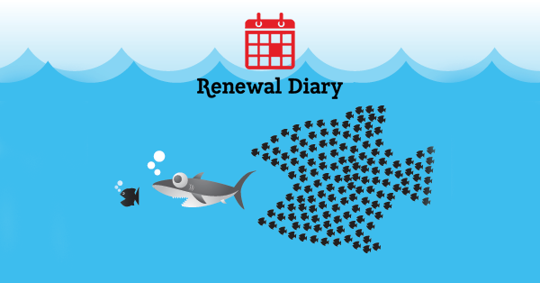 Renewal Diary gallery image