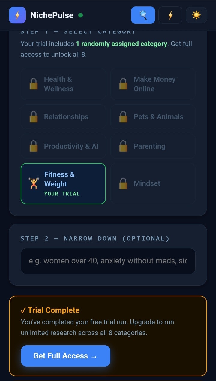 NichePulse gallery image