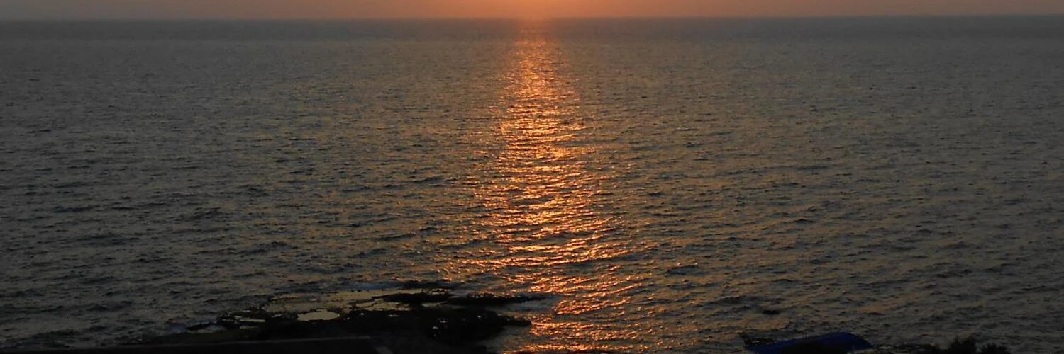 William Mougayar cover