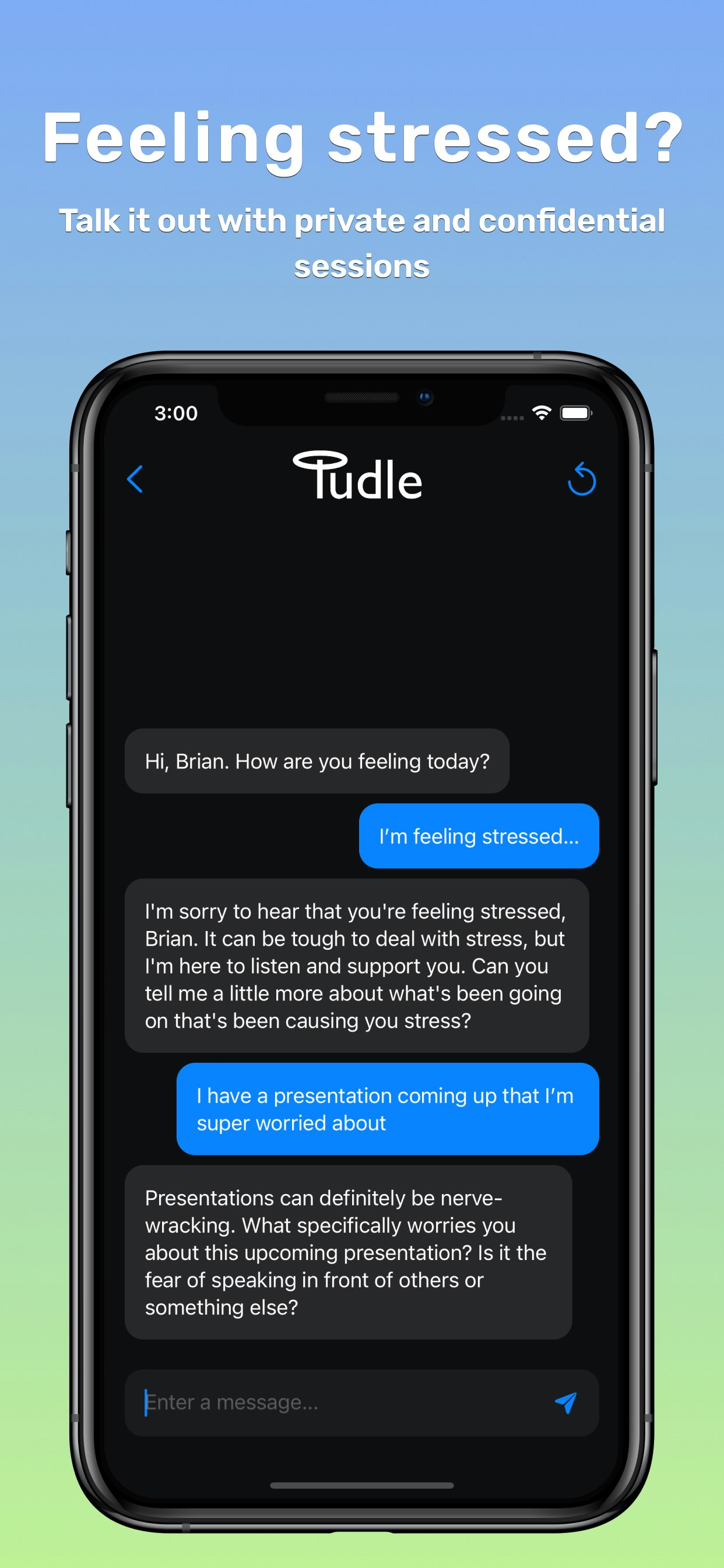 Tudle 2.0 - Importeer gespreksgeschiedenis voor uw AI -therapeut media 2