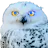 OwlAI Email Companion