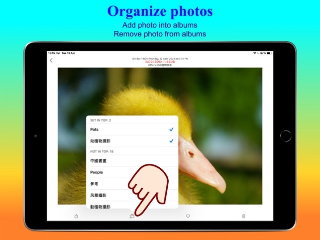 PhotoDuck - Manage photos easily gallery image