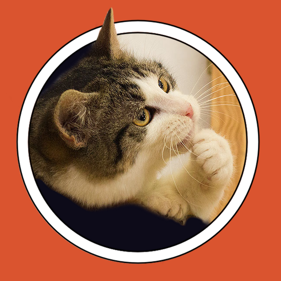 Product Thoughts - Murat Mutlu from Marvel gallery image