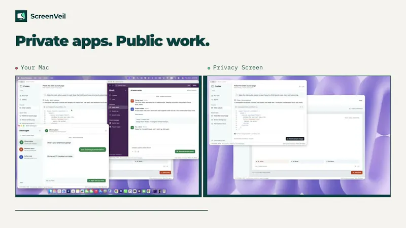 ScreenVeil screenshot 1 (video preview)
