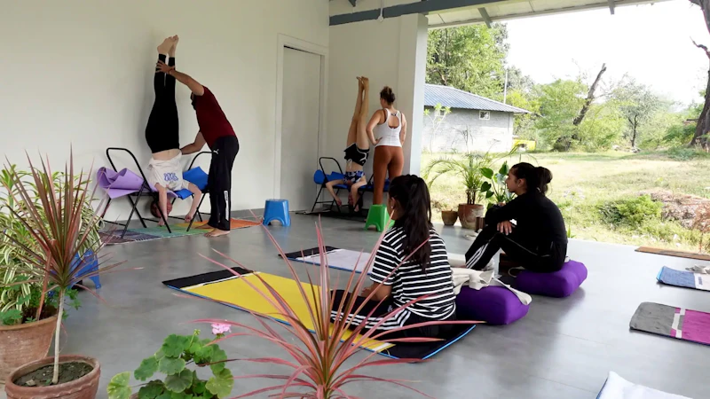 Yoga Chaitanya International Institute screenshot 5