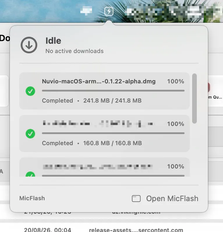 MicFlash Download Manager gallery image