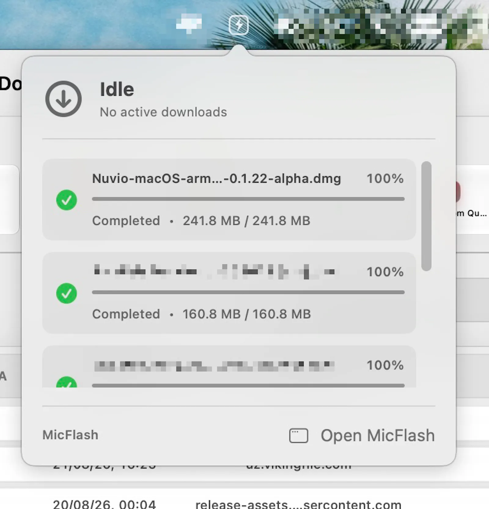 MicFlash Download Manager screenshot 5