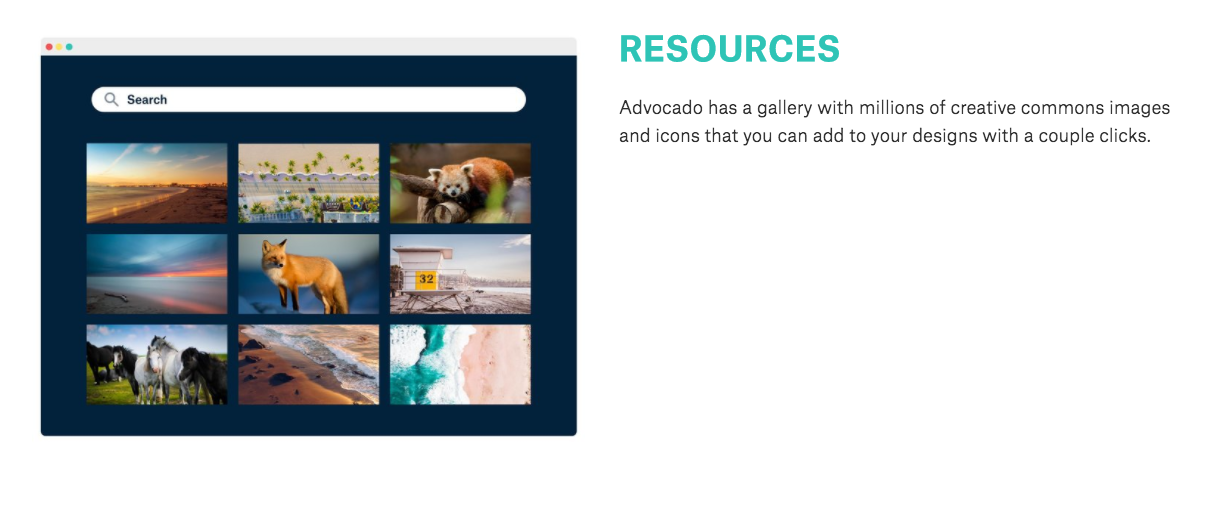 advocado.io gallery image