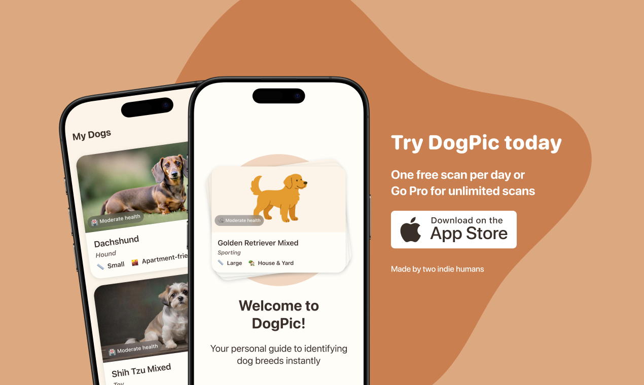 DogPic - Identify any dog breed instantly media 6
