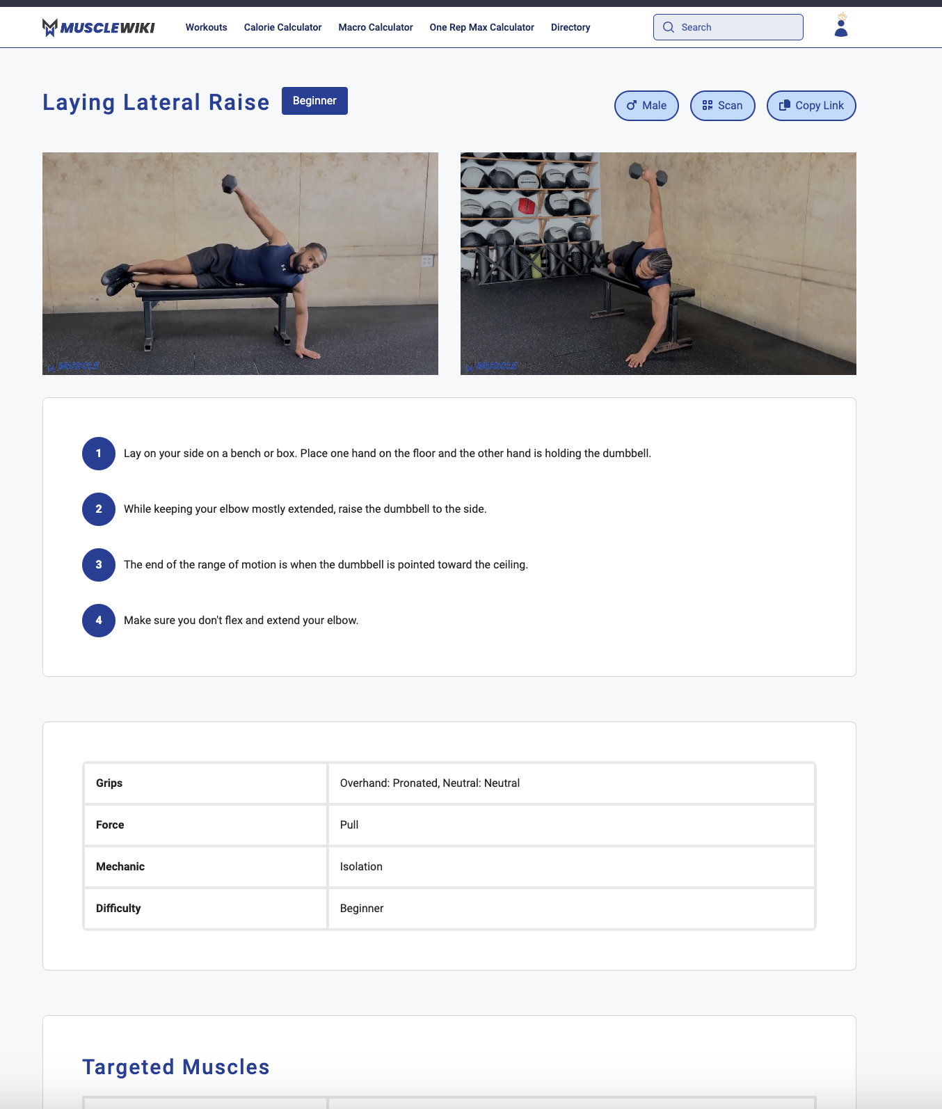 Musclewiki Advanced Body Map Medien 2