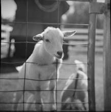 FilmLab gallery image