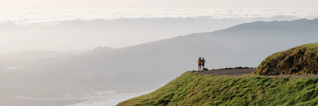 Brigitte Bradford cover