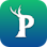 PalDB - Database for PalWorld