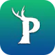 PalDB - Database for PalWorld