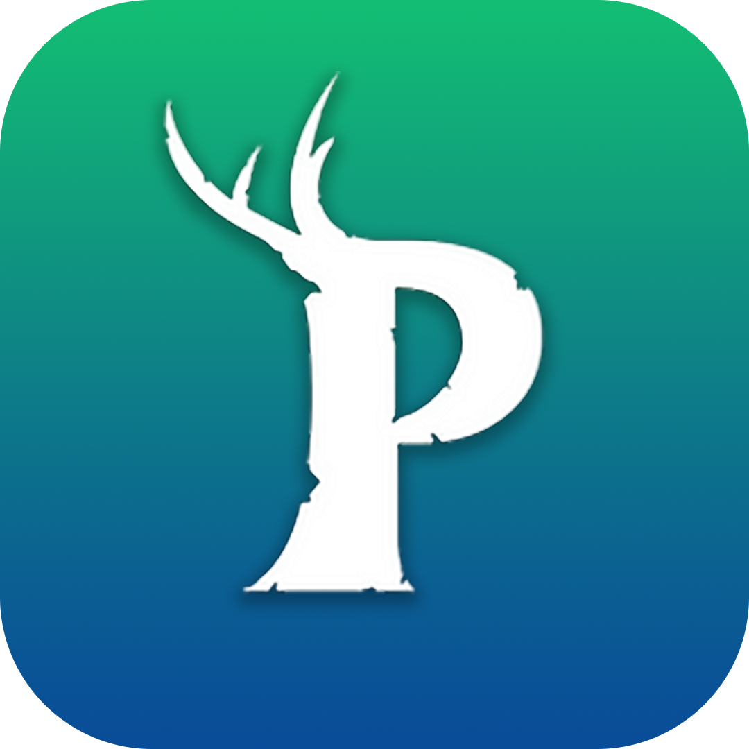 PalDB - Database for PalWorld