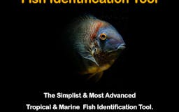 Fish Identification Tool media 1