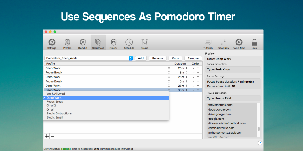 FindFocus gallery image