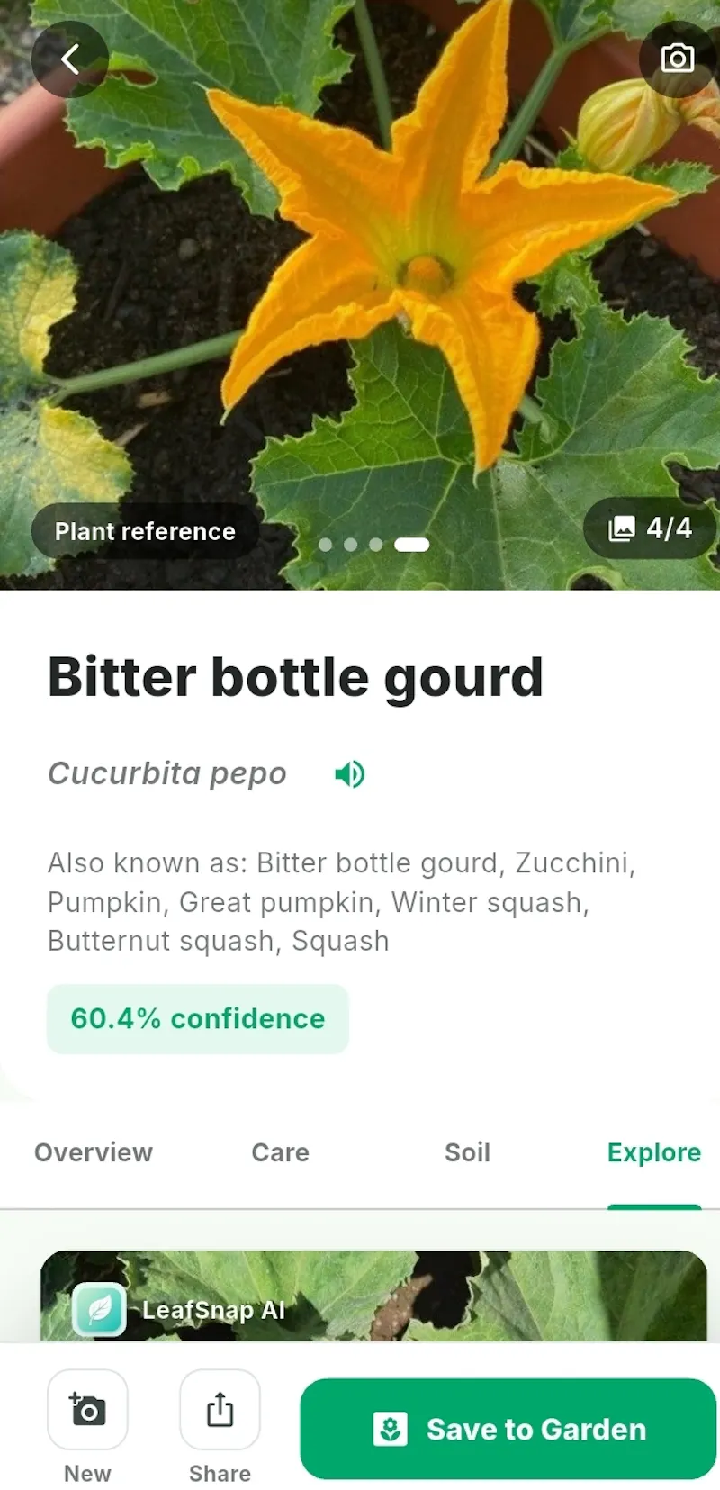 Leafsnap AI screenshot 1