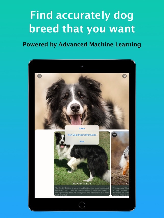 Dog Identifier - Dog Scanner gallery image