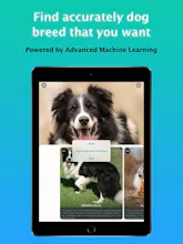 Dog Identifier - Dog Scanner gallery image