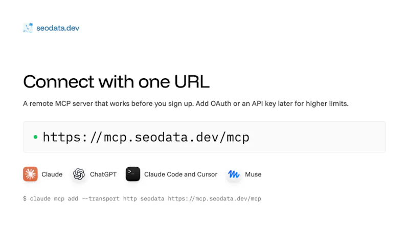 seodata.dev screenshot 3