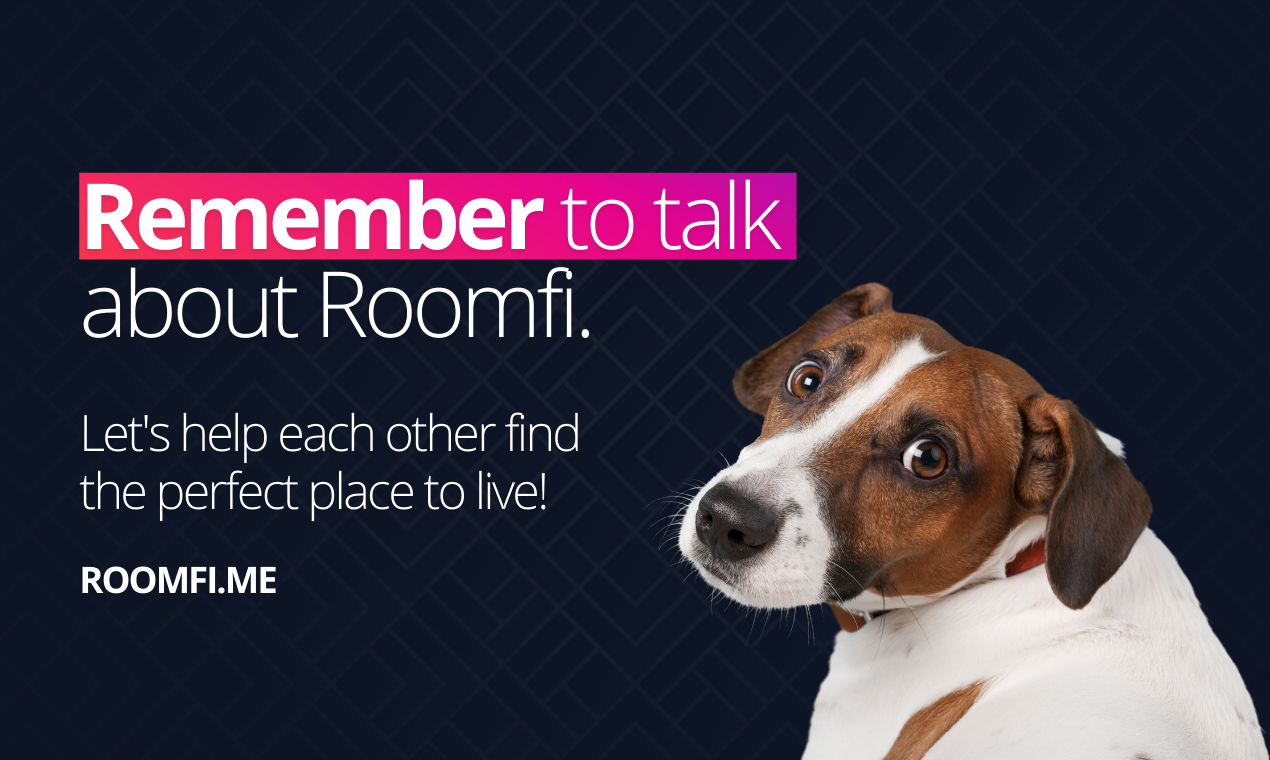 Roomfi media 6