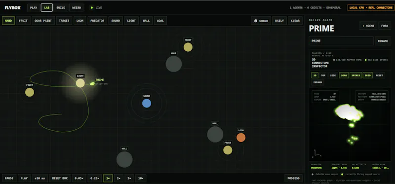 FLYBOX screenshot 2
