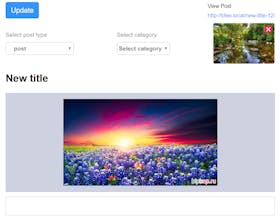 WP Front Editor gallery image
